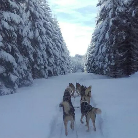 Grand 6 Pers. Super Besse, Résidence ***